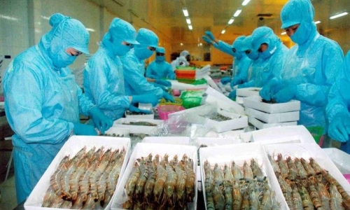 PROCESSING - EXPORTING SEAFOOD